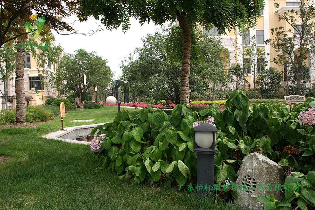 碧桂園華府別墅綠化景觀設(shè)計實景圖