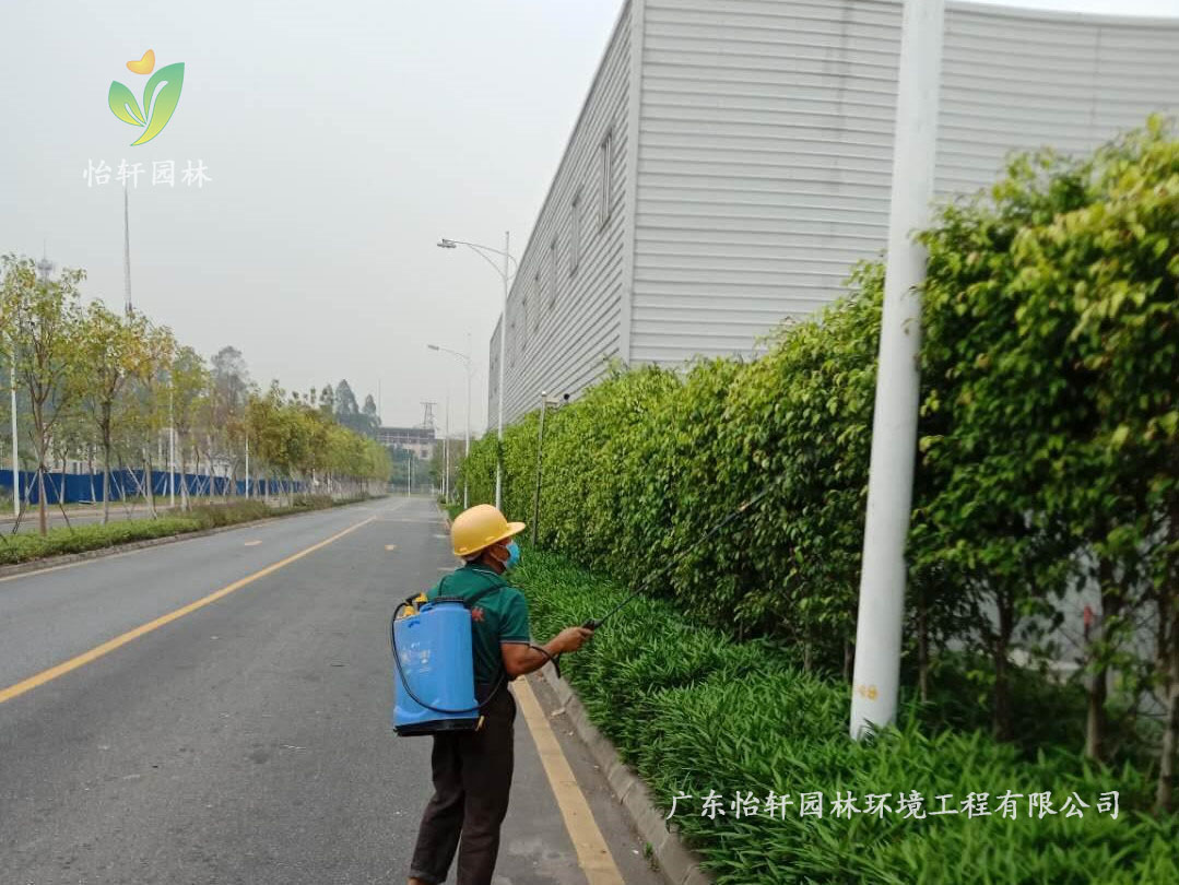 佛山瀚藍綠電固廢處理工廠綠化養護
