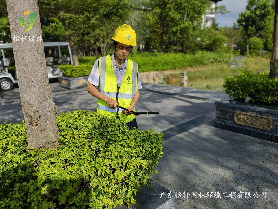 SG勝游園林綠化公司養(yǎng)護(hù)人員正在修剪