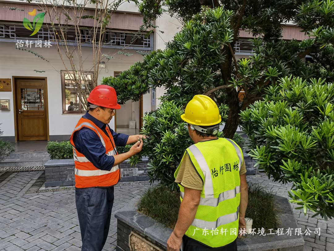 SG勝游園林綠化公司廠區(qū)綠化養(yǎng)護(hù)指導(dǎo)工作