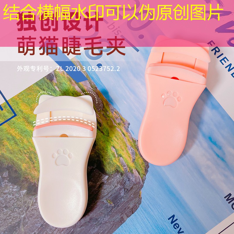 巴中園林綠化樹苗批發市場 巴中園林綠化樹苗批發市場