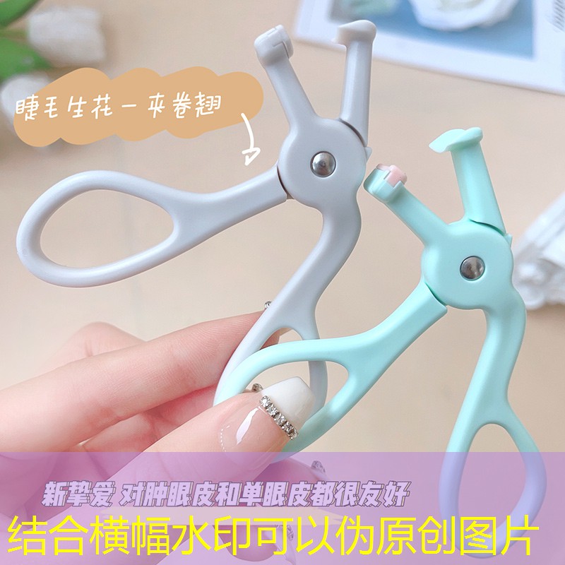 丹江口端州區(qū)園林綠化管理中心 丹江口端州區(qū)園林綠化管理中心