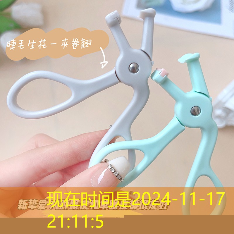 徐匯區城市綠化工程質量 徐匯區城市綠化工程質量