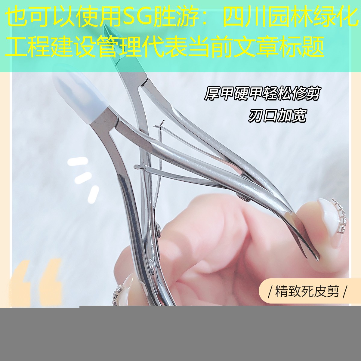 四川園林綠化工程建設管理 四川園林綠化工程建設管理