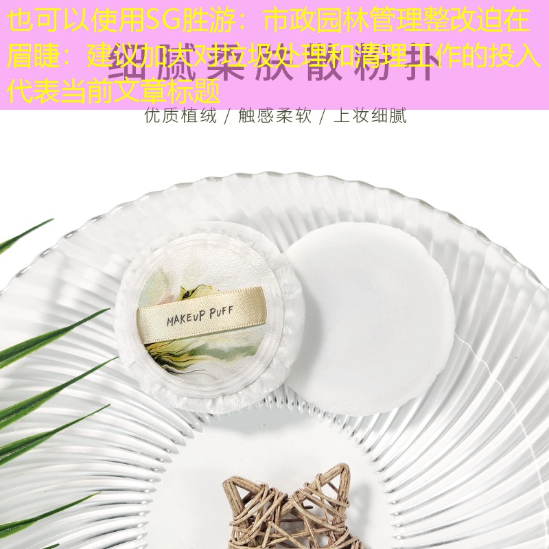 市政園林管理整改迫在眉睫:建議加大對垃圾處理和清理工作的投入 市政園林管理整改迫在眉睫:建議加大對垃圾處理和清理工作的投入